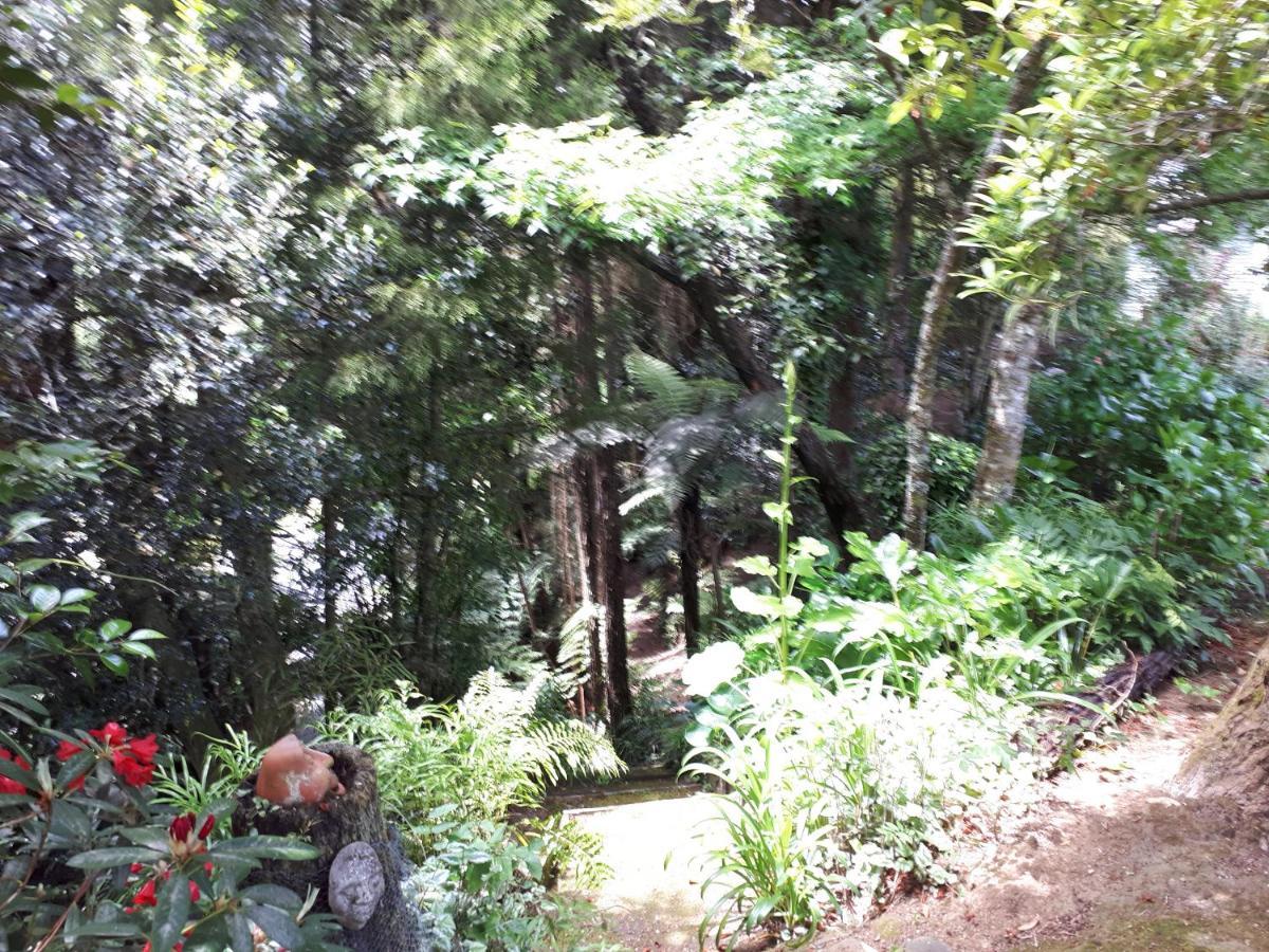 Rangaroa Heights Acomodação com café da manhã Taumarunui Exterior foto