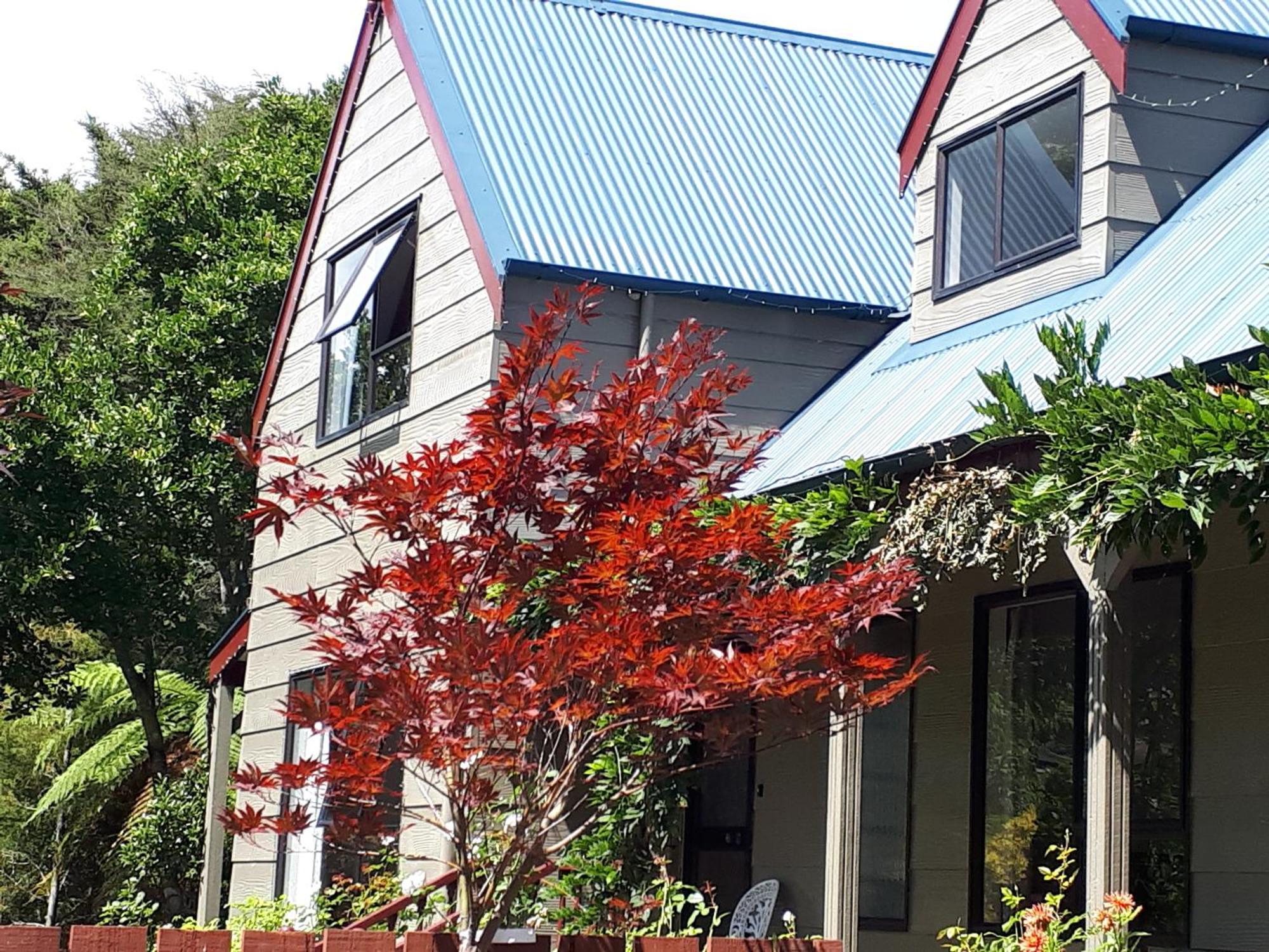 Rangaroa Heights Acomodação com café da manhã Taumarunui Exterior foto