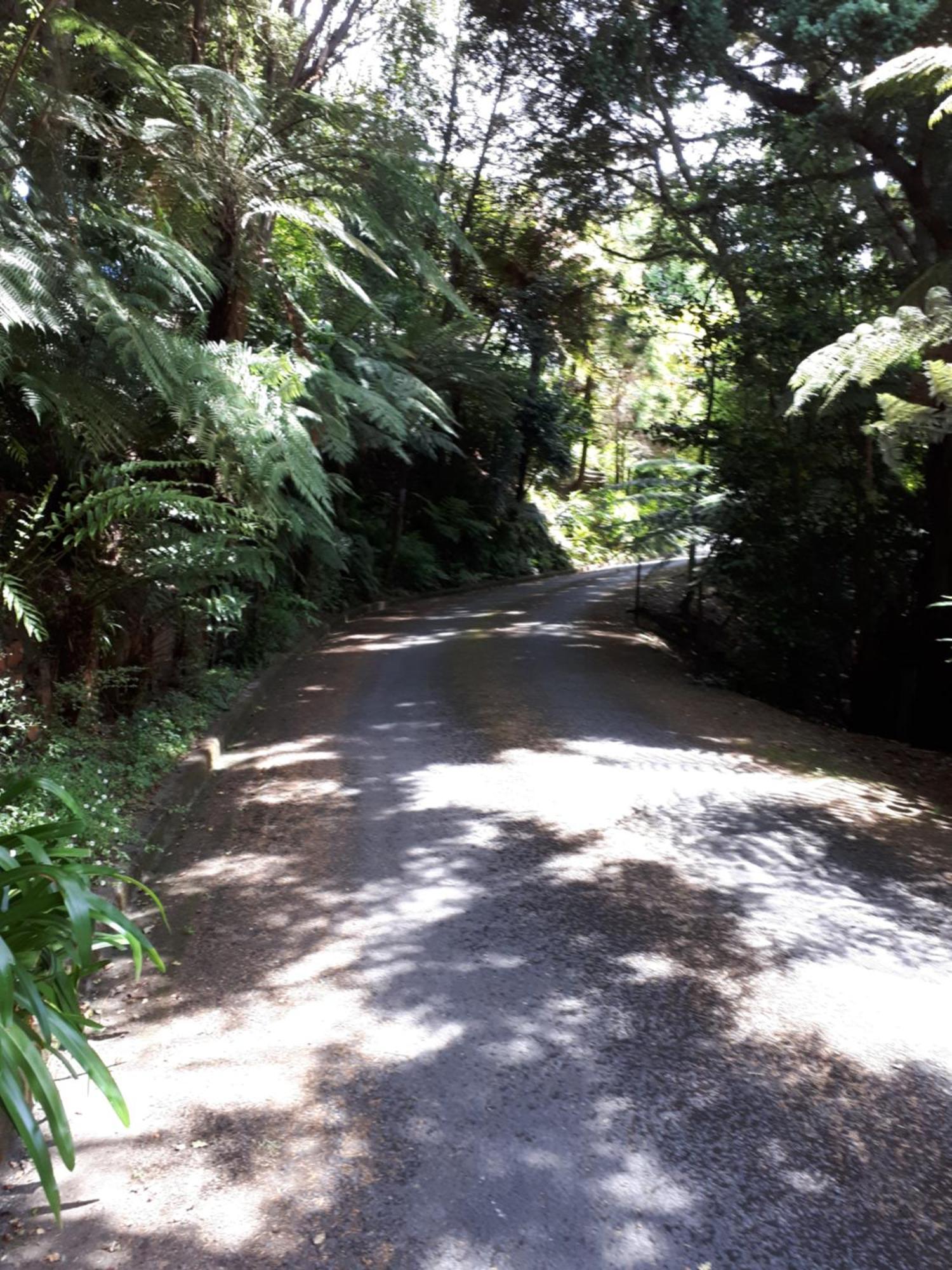 Rangaroa Heights Acomodação com café da manhã Taumarunui Exterior foto